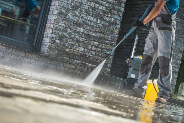 Best Pool Deck Cleaning  in Wayne, IL