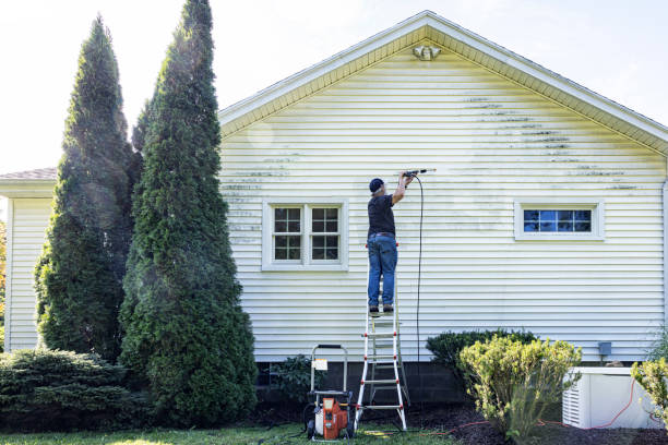 Spring Cleaning in Wayne, IL